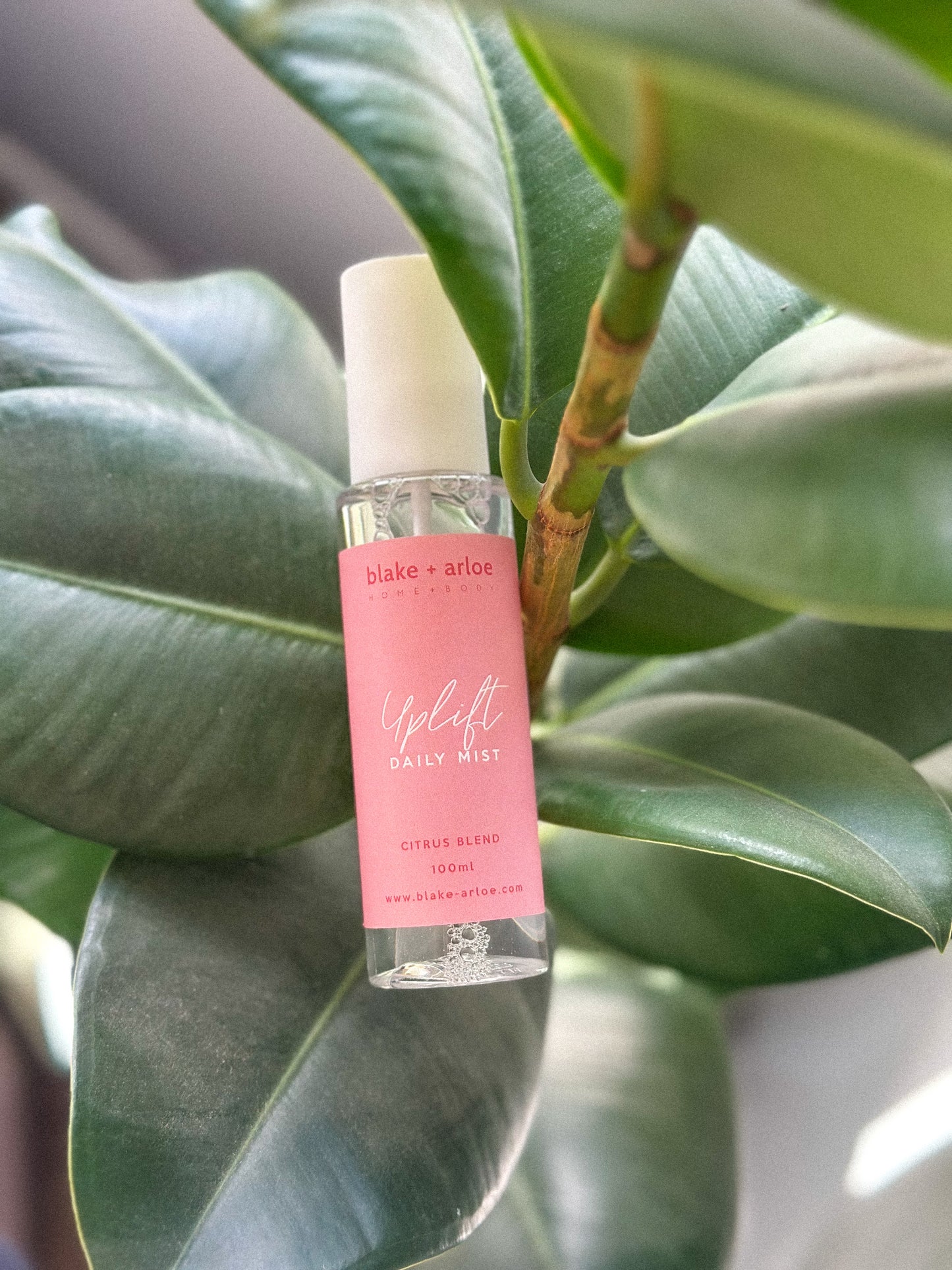 Uplift Daily Mist